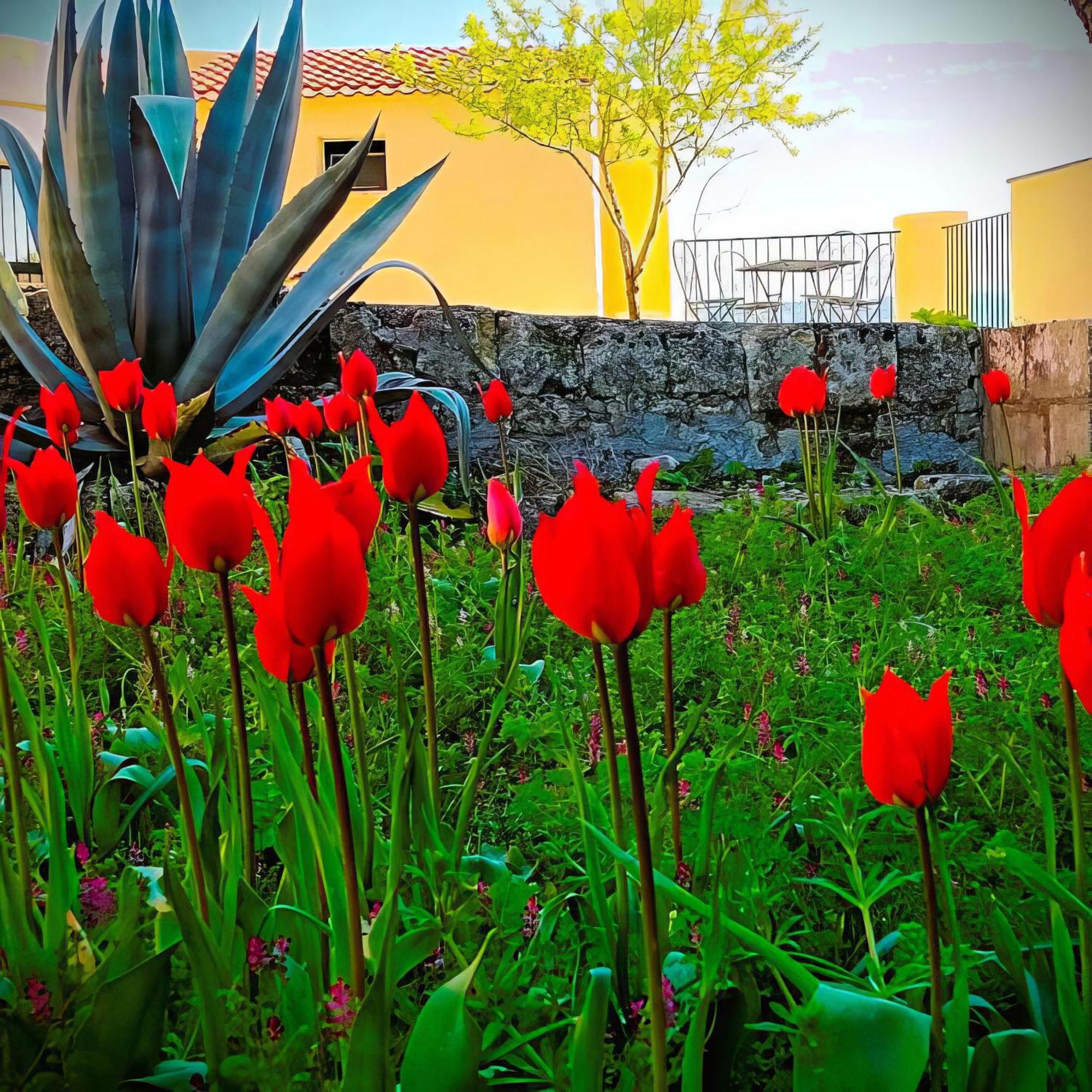 Villa Sine Tempore Fumarola Matera Bagian luar foto