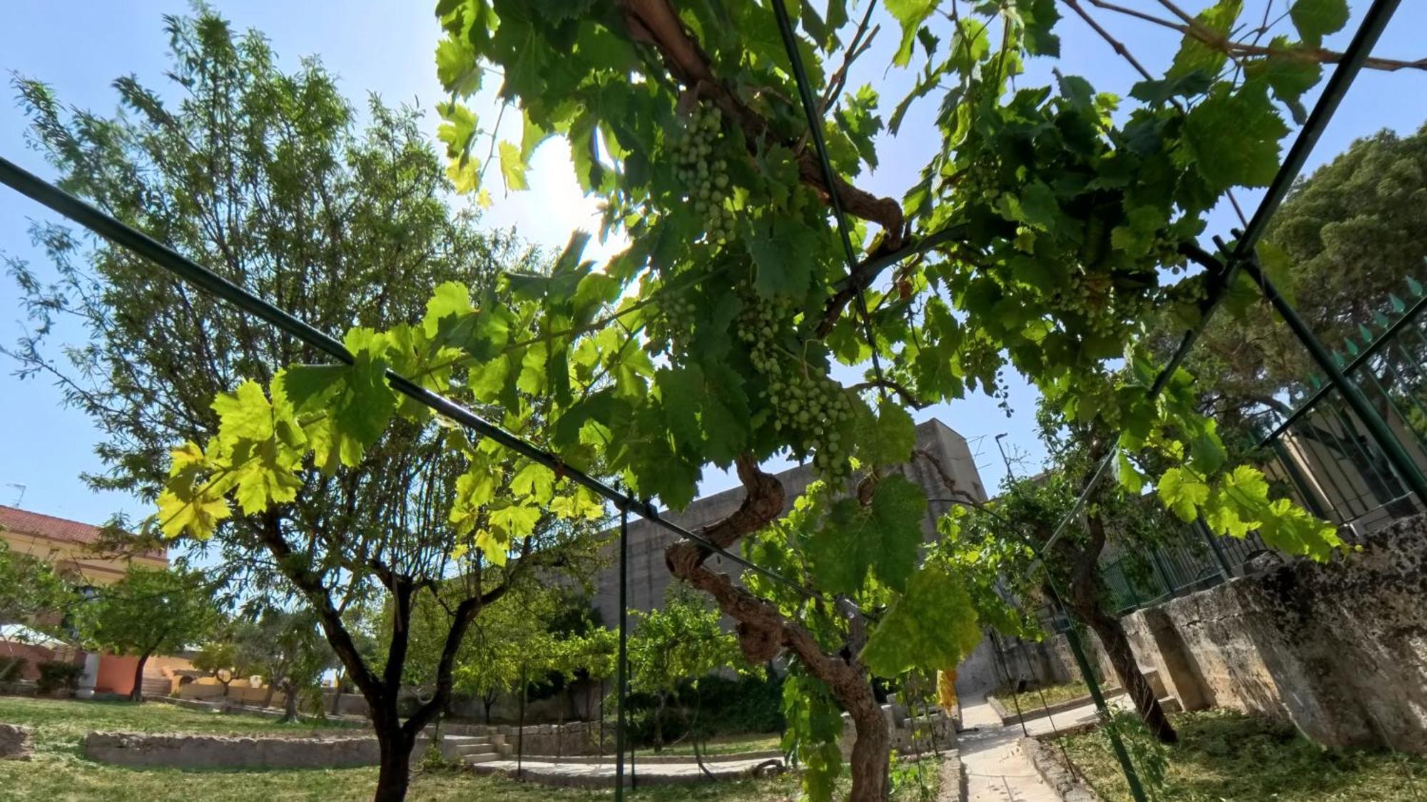 Villa Sine Tempore Fumarola Matera Bagian luar foto